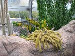 004_2009-0118-1020-31.jpg
